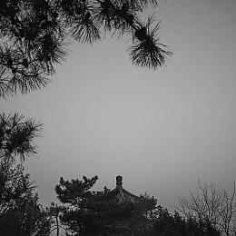 Epic正在解决PS5平台虚幻引擎格斗游戏延迟问题